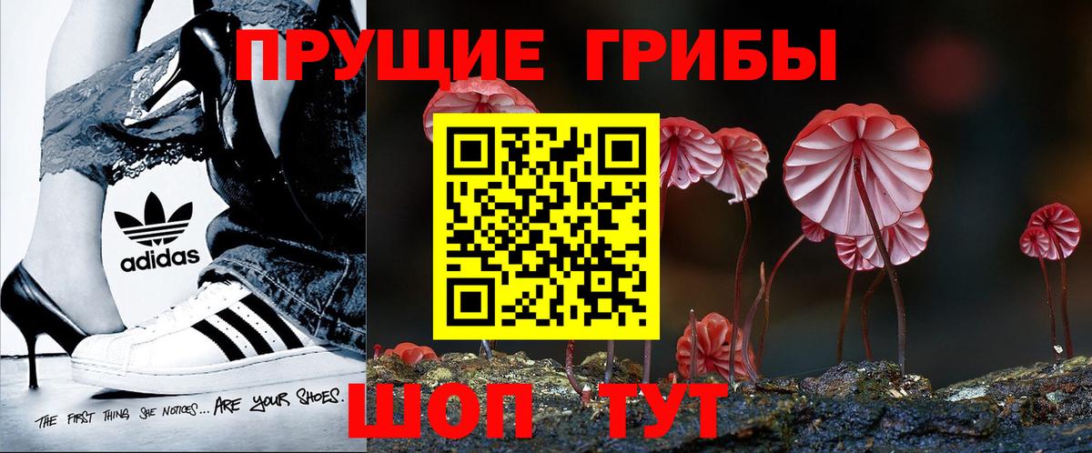 Псилоцибиновые грибы MAGIC MUSHROOMS Ревда