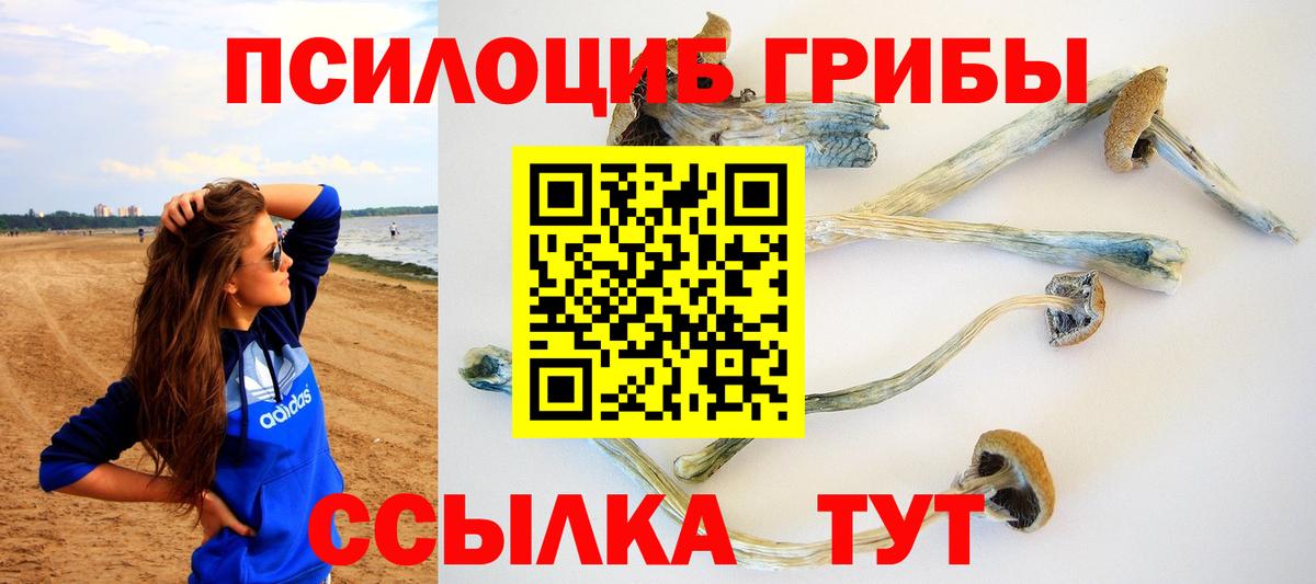 Ревда  Псилоцибиновые грибы прущие грибы  Вход с VPN 